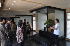 Photo : Omiya Bonsai Art Museum3
